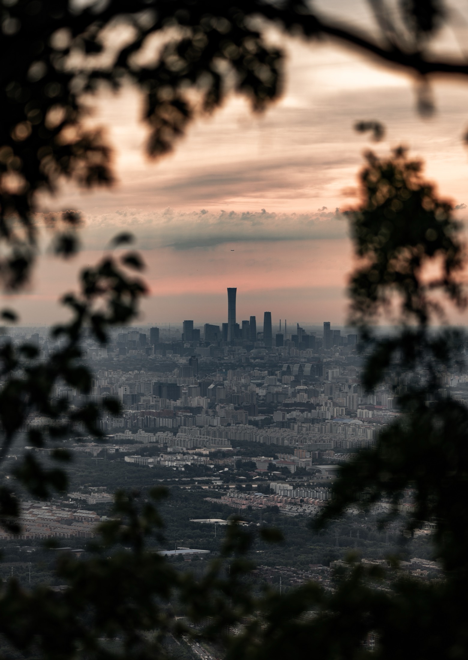 Distant skyline framed by leaves at sunset
