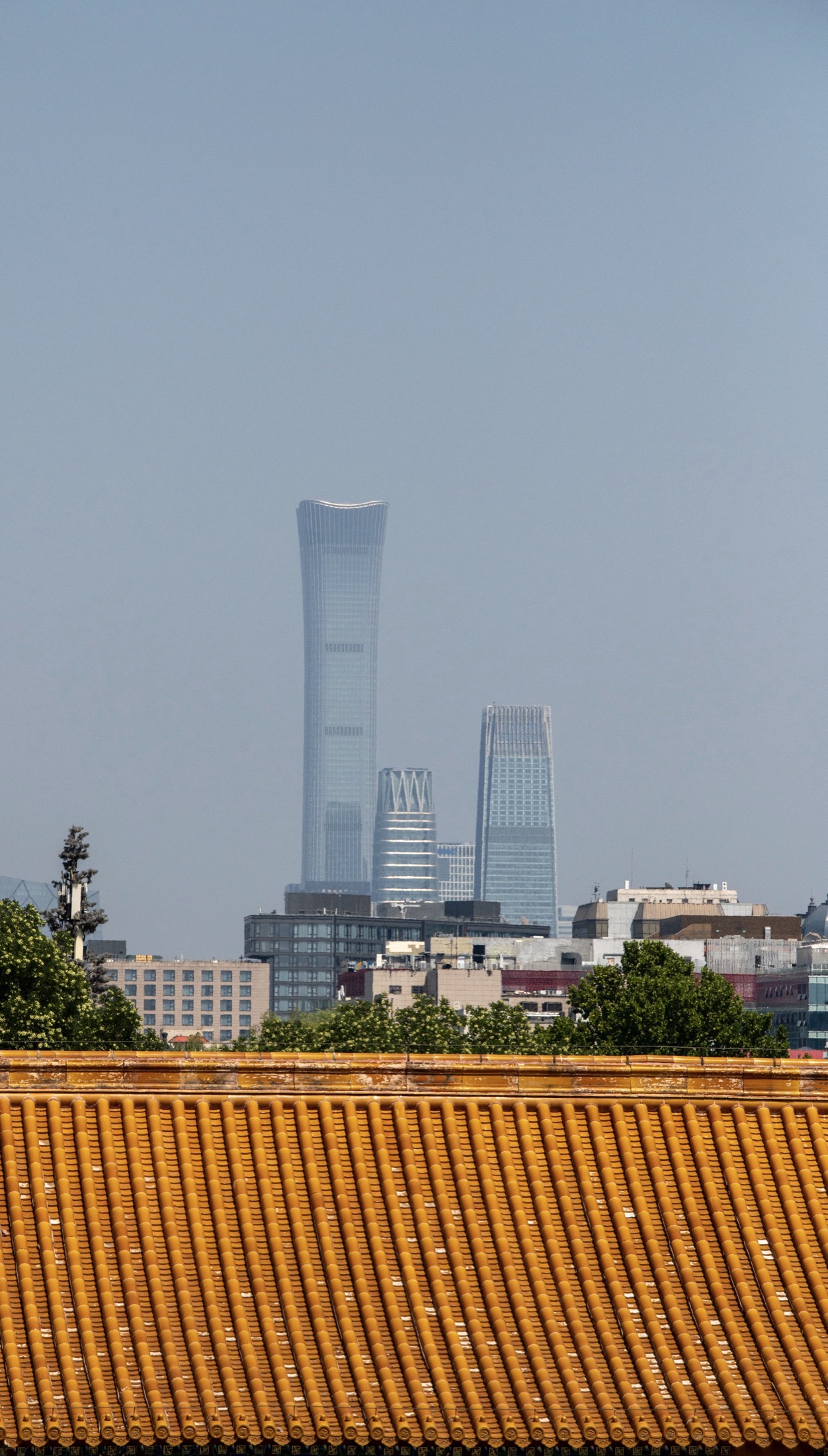Traditional roofline with skyline in the distance